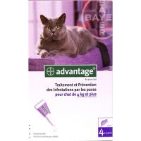 Advantage Chats de Plus de 4 kg