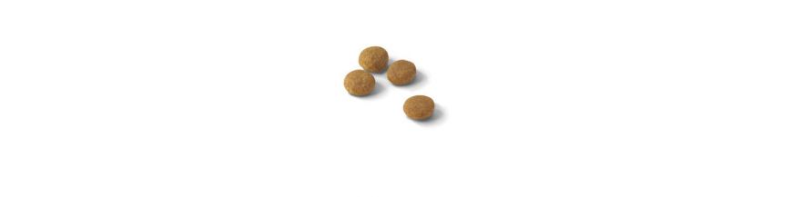 Croquettes